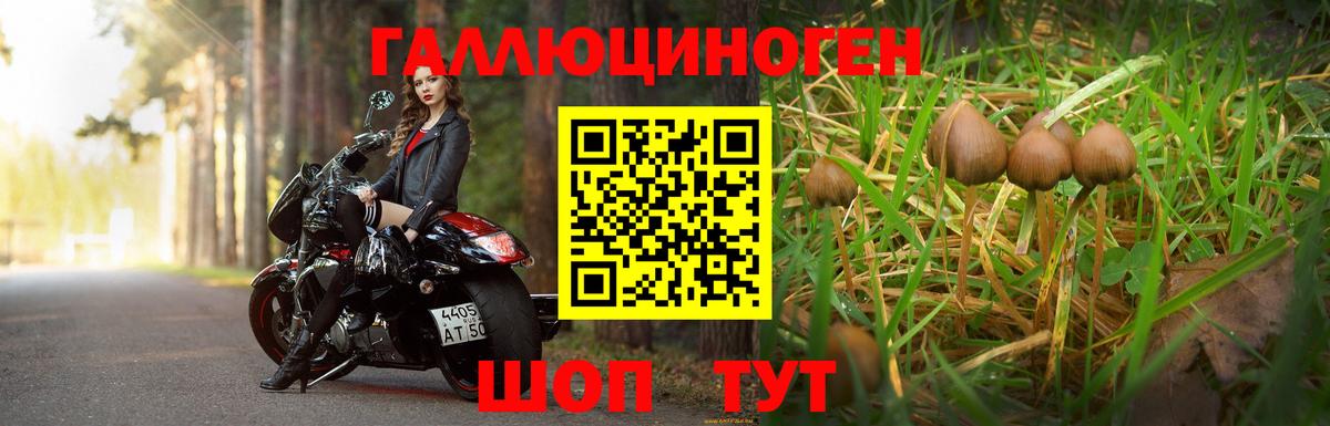 Галлюциногенные грибы ЛСД  Вход с VPN  Барнаул 